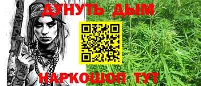 шишки Изобильный