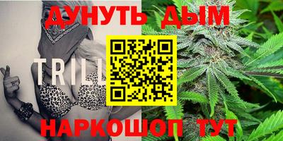 шишки Изобильный