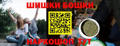 шишки Изобильный