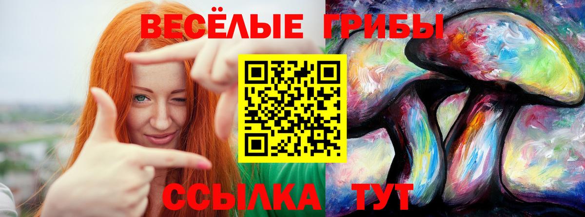Электросталь  Псилоцибиновые грибы ЛСД  Вход с VPN  Галлюциногенные грибы прущие грибы 