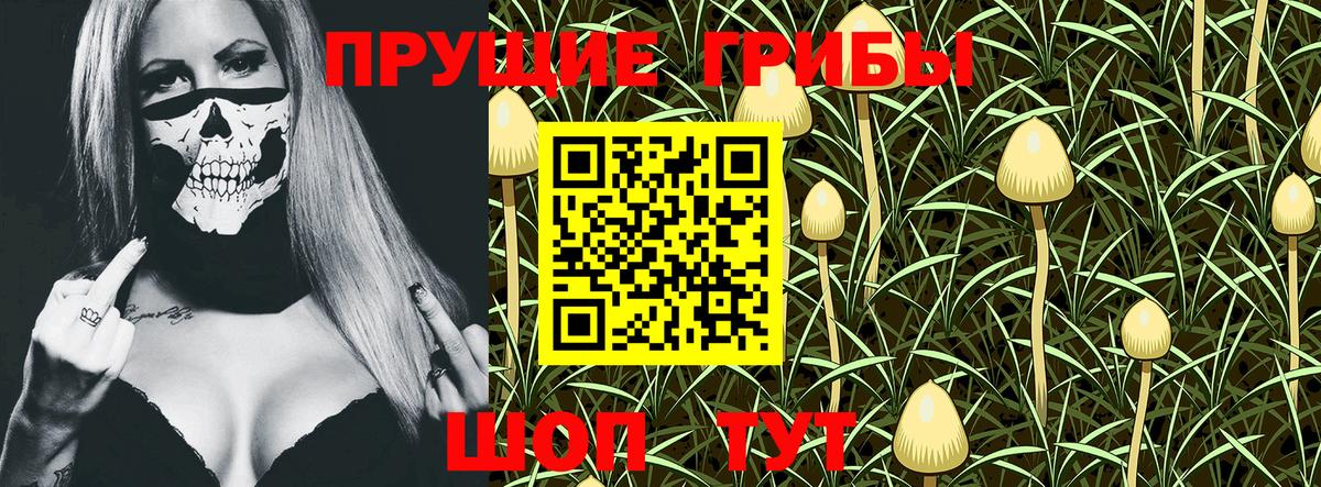 Галлюциногенные грибы GOLDEN TEACHER Электросталь
